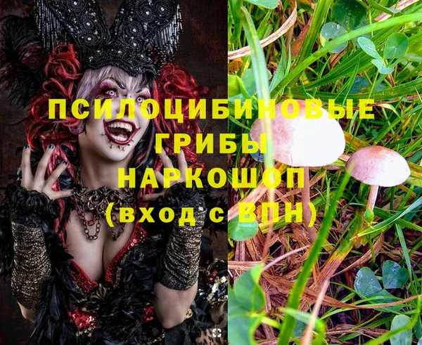 бошки Верхнеуральск