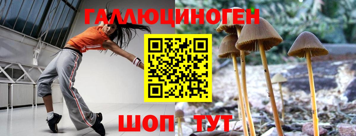 Галлюциногенные грибы Cubensis Кузнецк