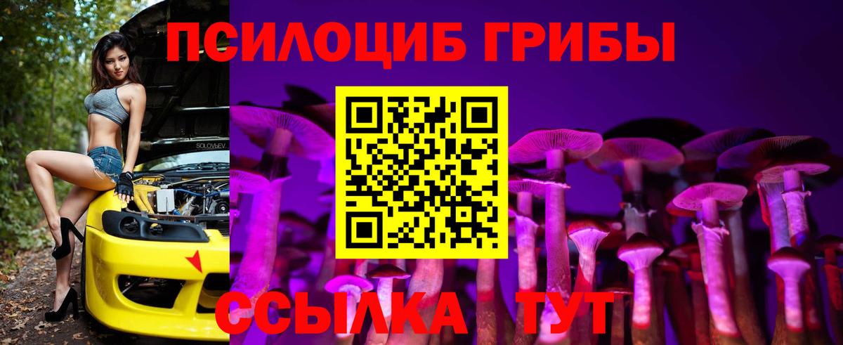 закладка  Псилоцибиновые грибы Psilocybine cubensis  Вход с VPN  Кузнецк 